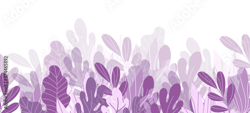 Floral web banner with drawn color exotic leaves. Nature concept design. Modern floral compositions with summer branches. Vector illustration on the theme of ecology, natura, environment