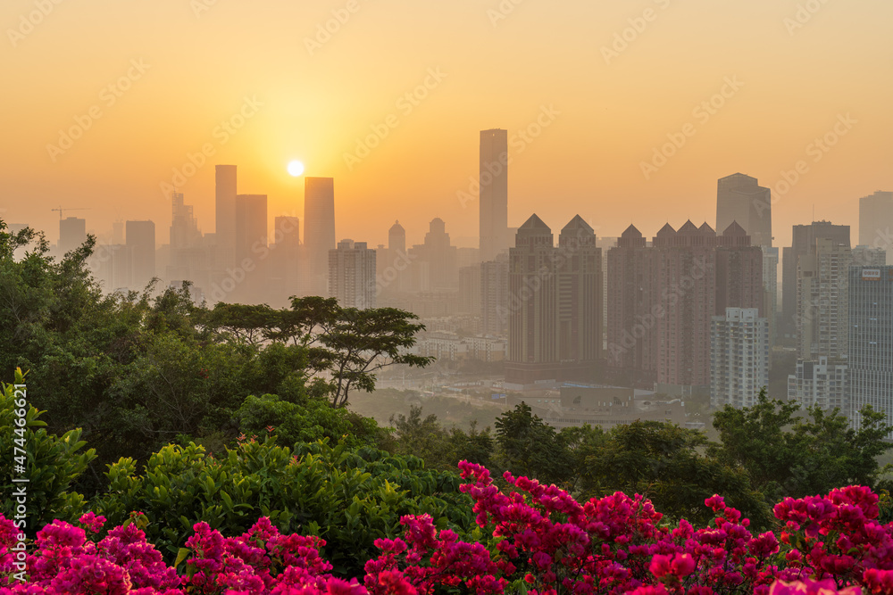 The Shenzhen cityscape in a foggy morning. The plant in foreground is Bougainvillea, which is city flower for Shenzhen. The Shenzhen cityscape in a foggy morning. The plant in foreground is Bougainvillea, which is city flower for Shenzhen.