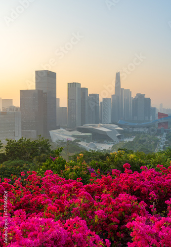 The Shenzhen cityscape in a foggy morning. The plant in foreground is Bougainvillea, which is city flower for Shenzhen. © imphilip
