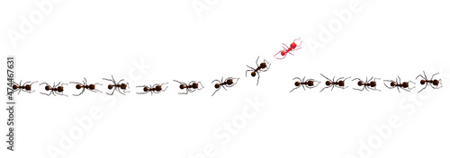 Black ant trail. Working insect curve group silhouettes isolated on white background. Vector illustration.