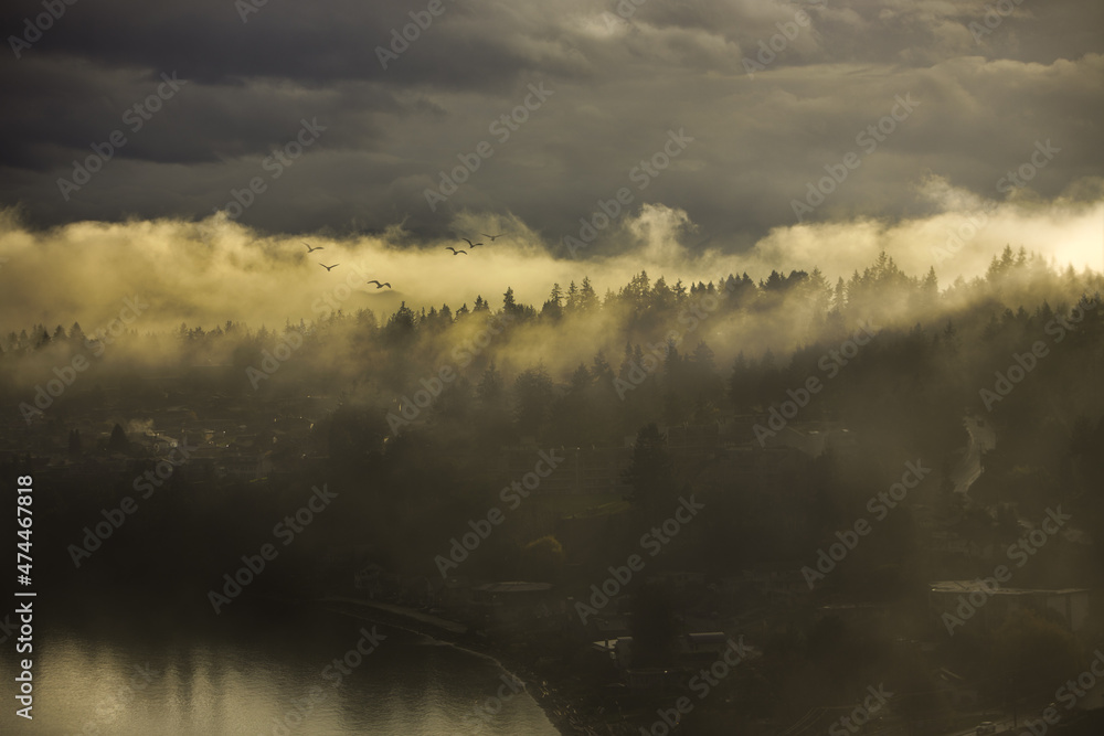 Obraz premium From the top of Stephenson Point offers us a magnificent view of the bay under a thick fog that travels with the wind