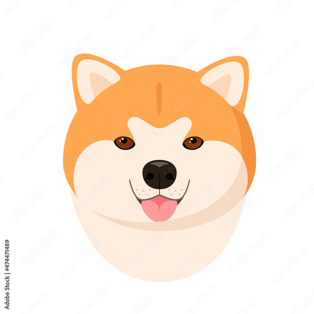 Cute akita's head on a white background. Cartoon dog design.
Cute akita's head on a white background. Cartoon dog design.