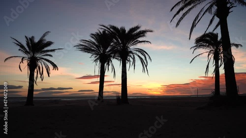 Wallpaper Mural Sunset or sunrise in a beach with palms. Torontodigital.ca