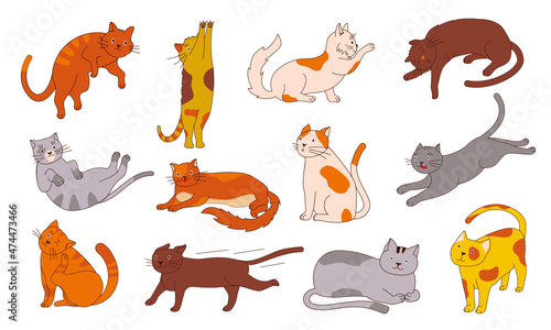 Doodle cat. Funny home animal sticker with simple sketch. Happy sitting staying and lying cats, cute outline kitten character bundle in different poses. Vector fluffy pet isolated set