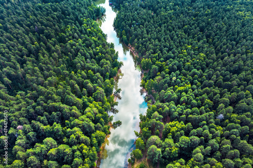 The river is separate and surrounded by forest. Berdsk, Russia