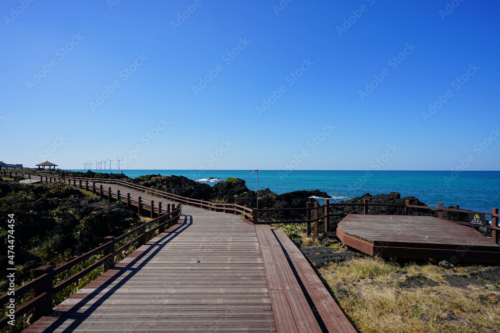 a wonderful seaside landscape with a walkway