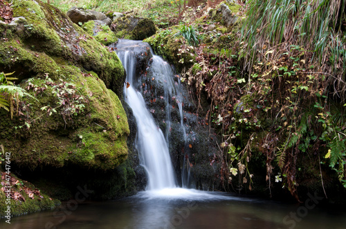 Lunga esposizione di cascata du ruscello con foglie secche nel sottobosco d Aspromonte