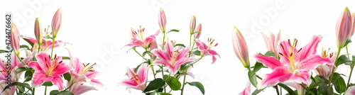 Fototapeta Naklejka Na Ścianę i Meble -  Close-up of flowers of a bouquet of blooming pink lilies in different angles in soft light on a white background. Lily variety - Pink Brilliant