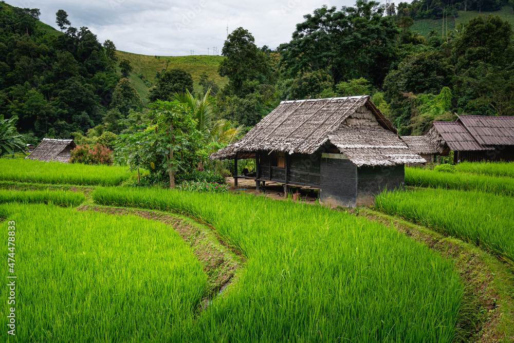 Pattern of paddy field and bamboo hut in valley at Chiang mai, Thailand, for vacation to relaxation Pattern of paddy field and bamboo hut in valley at Chiang mai, Thailand, for vacation to relaxation