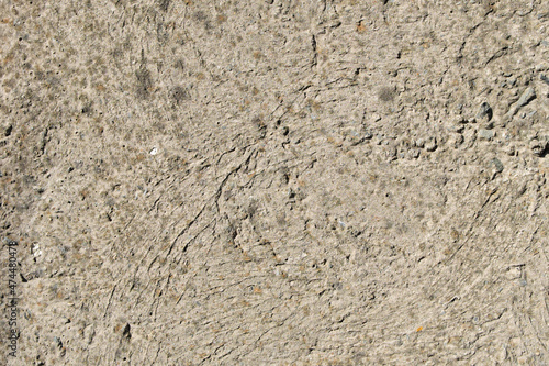 The rough, uneven surface of the cement wall is gray-brown.