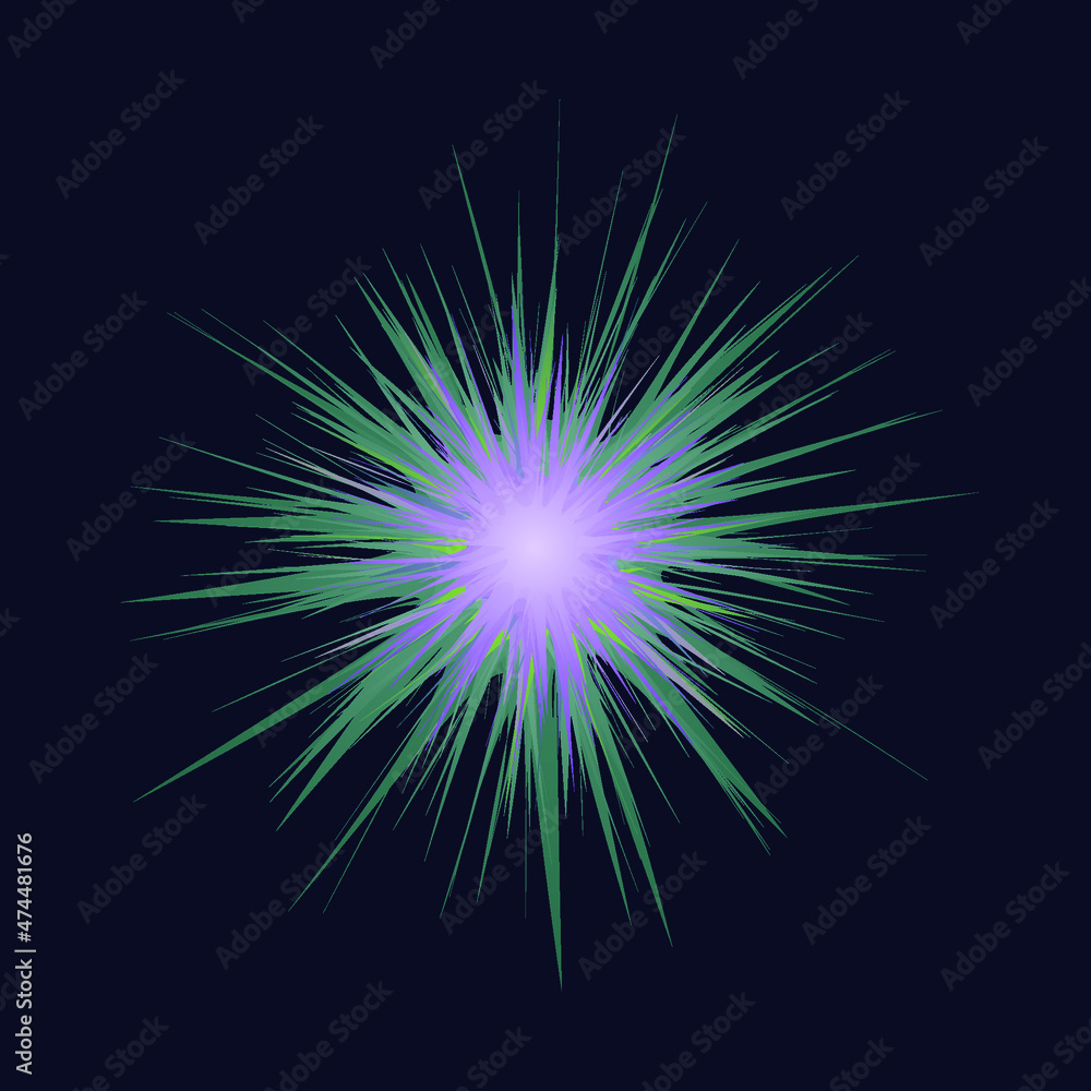 Fototapeta premium Beautiful wild flower colorful.