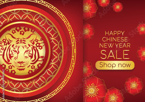 chinese new year art vector background 