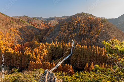 Canvas Print autumn in the mountains