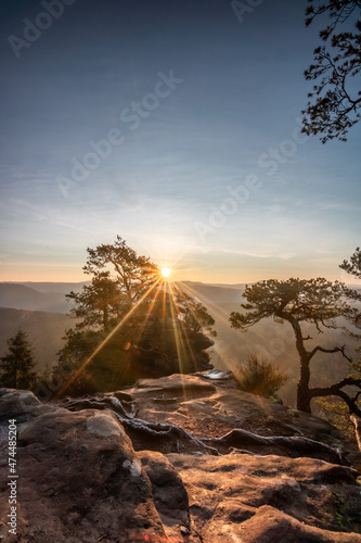 Beautiful sunrise landscape. Rocks and forest with a view of the horizon. Nice viewpoint in Germany photo