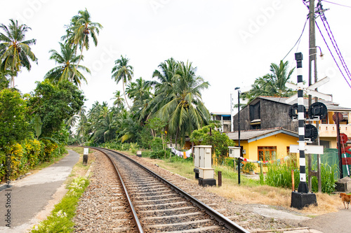 Railway station with palm trees in a tropical country.