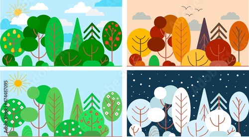 Tree seasons landscape. 4 different seasons of the year.