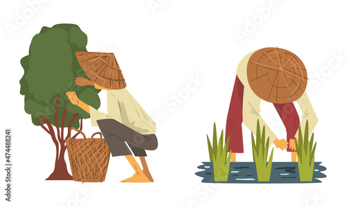 Asian Farmer in Straw Conical Hat Working on Paddy Field Vector Set