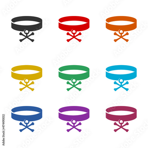 Dog collar icon isolated on white background, color set
