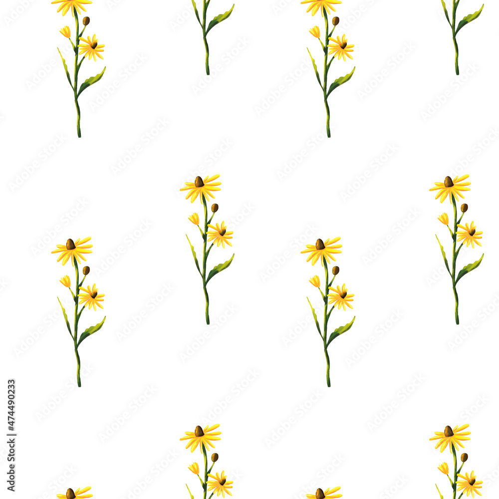 Seamless pattern with yellow wildflowers. Watercolor hand drawn illustration isolated on white background. Botanical yellow flowers seamless pattern. Fresh tender design for invitation, wedding 