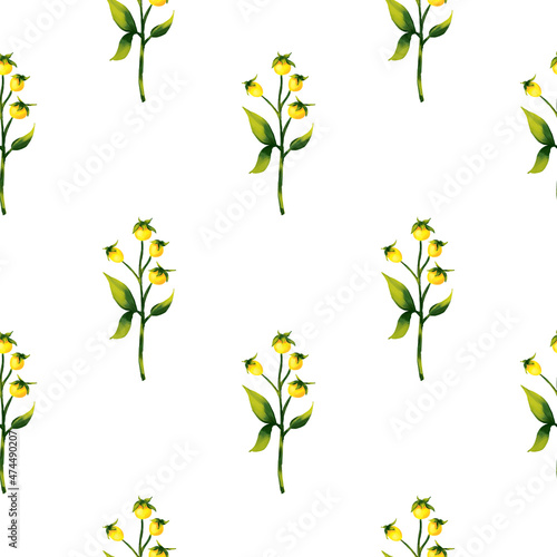 Seamless pattern with yellow inflorescence. Watercolor hand drawn illustration isolated on white background. Botanical yellow flowers seamless pattern. Fresh tender design for invitation, wedding  © Lexivly