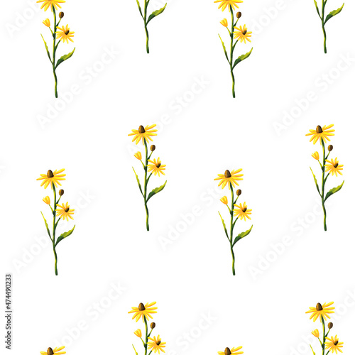 Seamless pattern with yellow wildflowers. Watercolor hand drawn illustration isolated on white background. Botanical yellow flowers seamless pattern. Fresh tender design for invitation, wedding  © Lexivly