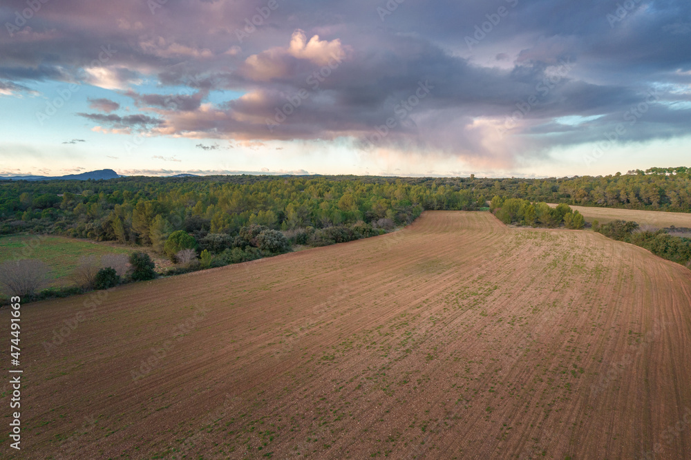 Aerial view of French countryside farmland and forest at dusk in France