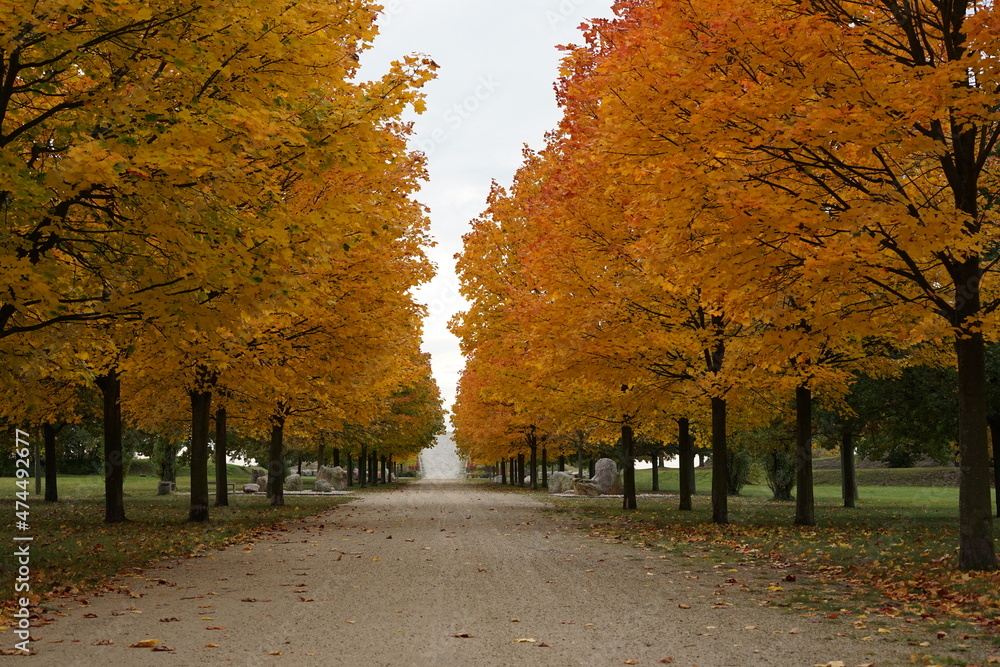 Herbststimmung in einer Park-Allee in Brandenburg