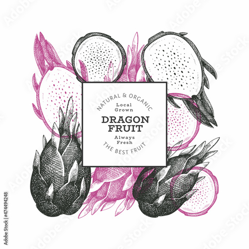 Hand drawn dragon fruit design template. Organic fresh food vector illustration. Retro pitaya fruit banner.