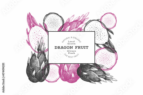Hand drawn dragon fruit design template. Organic fresh food vector illustration. Retro pitaya fruit banner.