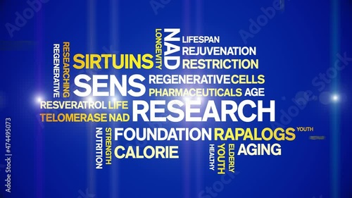 Sens Research Animated Tag Word Cloud;Text Design Animation typography seamless loop. photo
