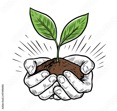 Pair of hands holding plant and soil. Caring for nature concept vector illustration