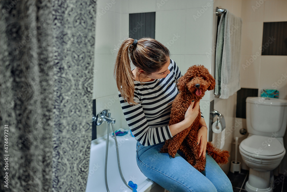 Woman bathing her pet dog inside Woman bathing her pet dog inside