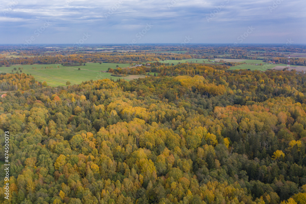 Aerial landscape of colorful yellow and green autumn forest