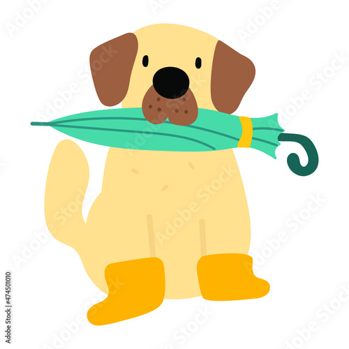 Retriever hold umbrella and wearing rubber rain boots. 
Hand drawn illustration on white background.