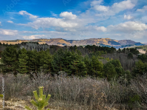 Caucasus in spring