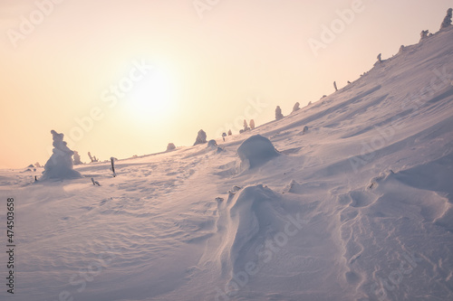 The structure of snow on a mountain slope