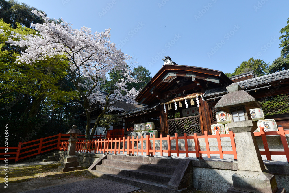 春の建勲神社　本殿　京都市北区紫野