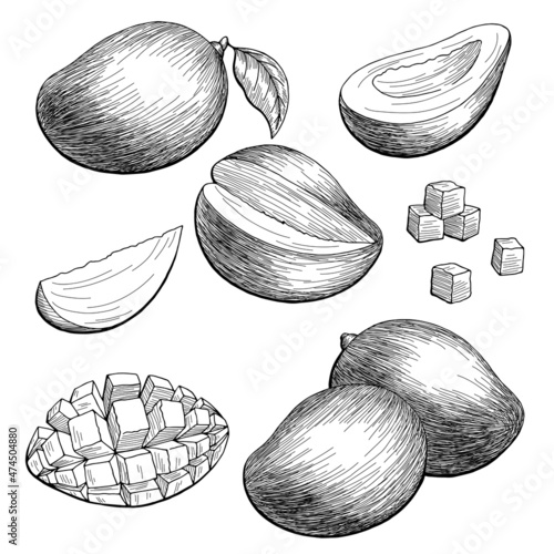 Mango fruit graphic black white isolated sketch illustration vector 