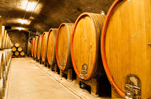 Dobrovo, Slovenia - July 19 2020: Constant temperature arched cellar with French barrique oak barrels to age wine at Klet Brda.