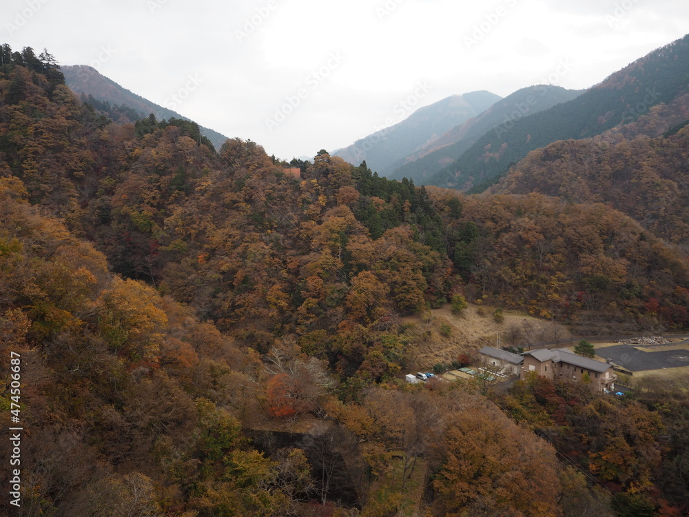 the beautiful autumn leaves of lake okutama in Tokyo the beautiful autumn leaves of lake okutama in Tokyo