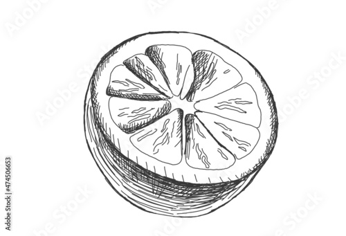 cut off half of lemon or orange, Illustration in style of line art. citrus fruit isolated on white background. Sticker, image for menu, packaging, design element.
