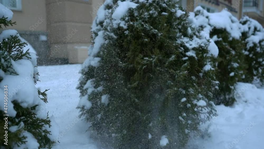 A beautiful girl in black boots kicks a dead tree. Snow flies beautifully to the sides. Slow motion.