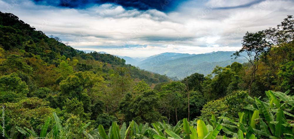 Obraz premium Mountains, National Parks, Nature Trails Signage in Thailand