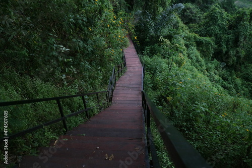 a long wooden path in the middle of the forest