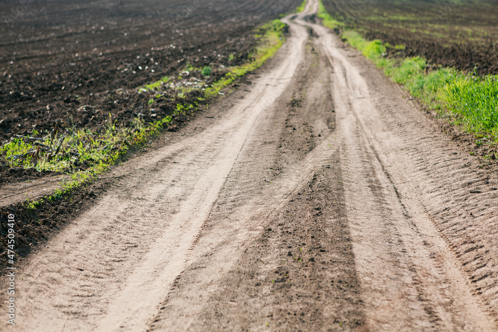 Fototapeta premium Country road and agricultural fields . Road to the village 