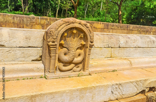 Five-headed cobra of Twin Pools, Anuradhapura, Sri Lanka photo