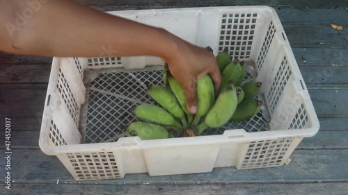 Man picking mangoes from a basket
Collection date 12 months 12 years 2021 Location Thailand