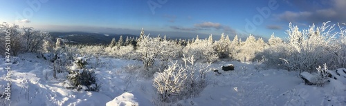 winter landscape with brunhildis rock at Feldberg
