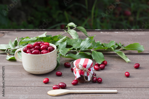 Dogwood marmalade. Cornelian cherry or European cornel is a shrub with red fruits that is also often wild. He is also one of the medicinal plants.