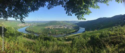  river bend of Moselle at Bremm photo